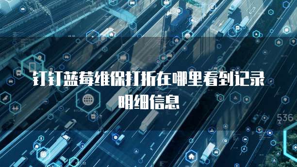 信息系统运行维护服务中多乘单CRM返点功能的定位与使用指南